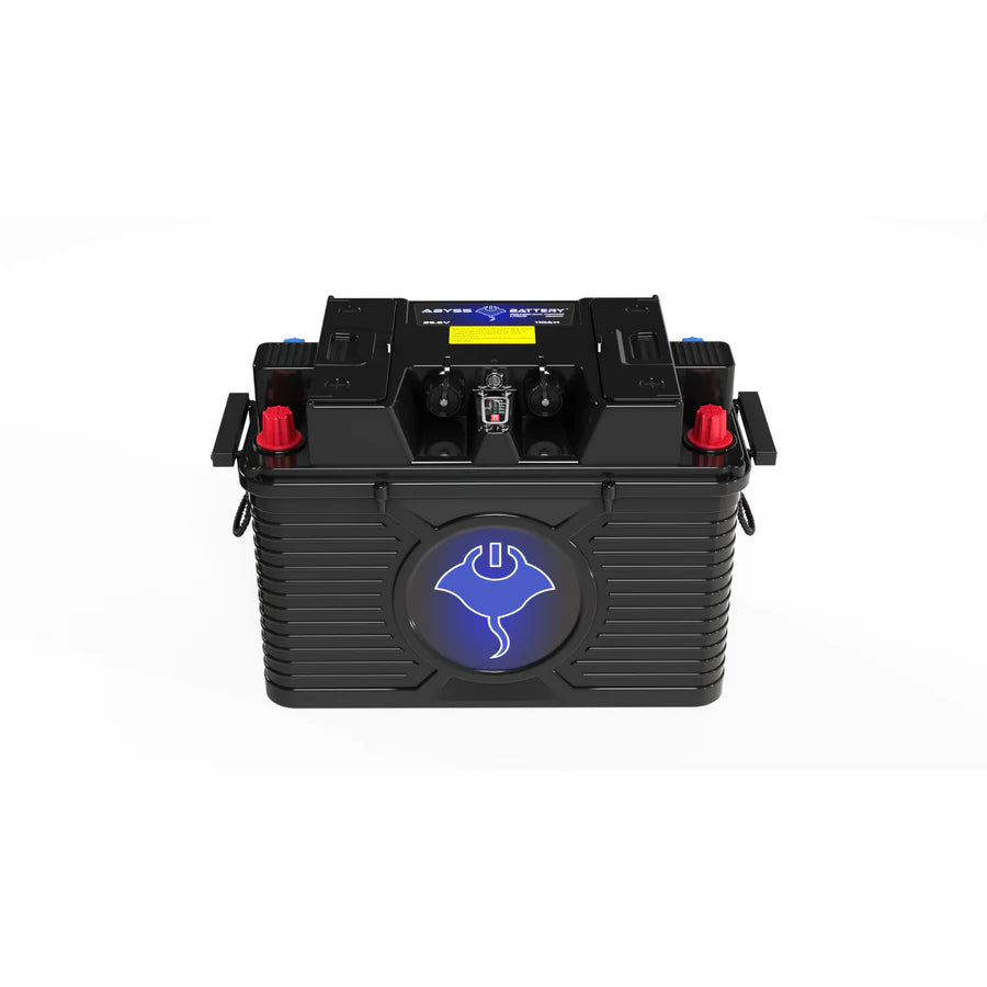 24v 110ah Dual Purpose Lithium Battery