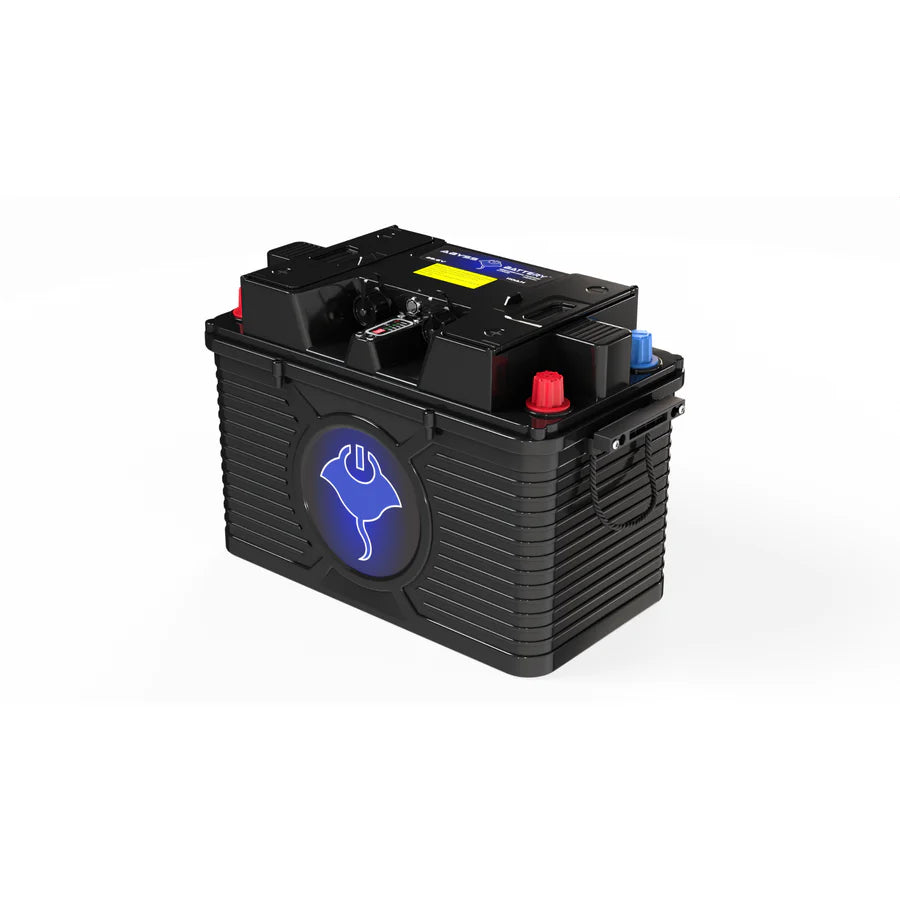 24v 110ah Dual Purpose Lithium Battery