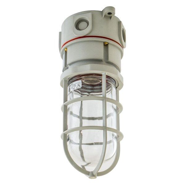 Dock Light Fixture - Ceiling Mount