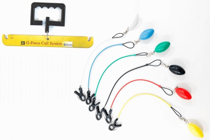 G-Force Culling System