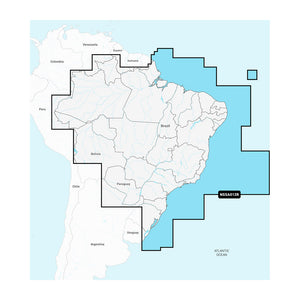 Garmin Navionics+ Foreign