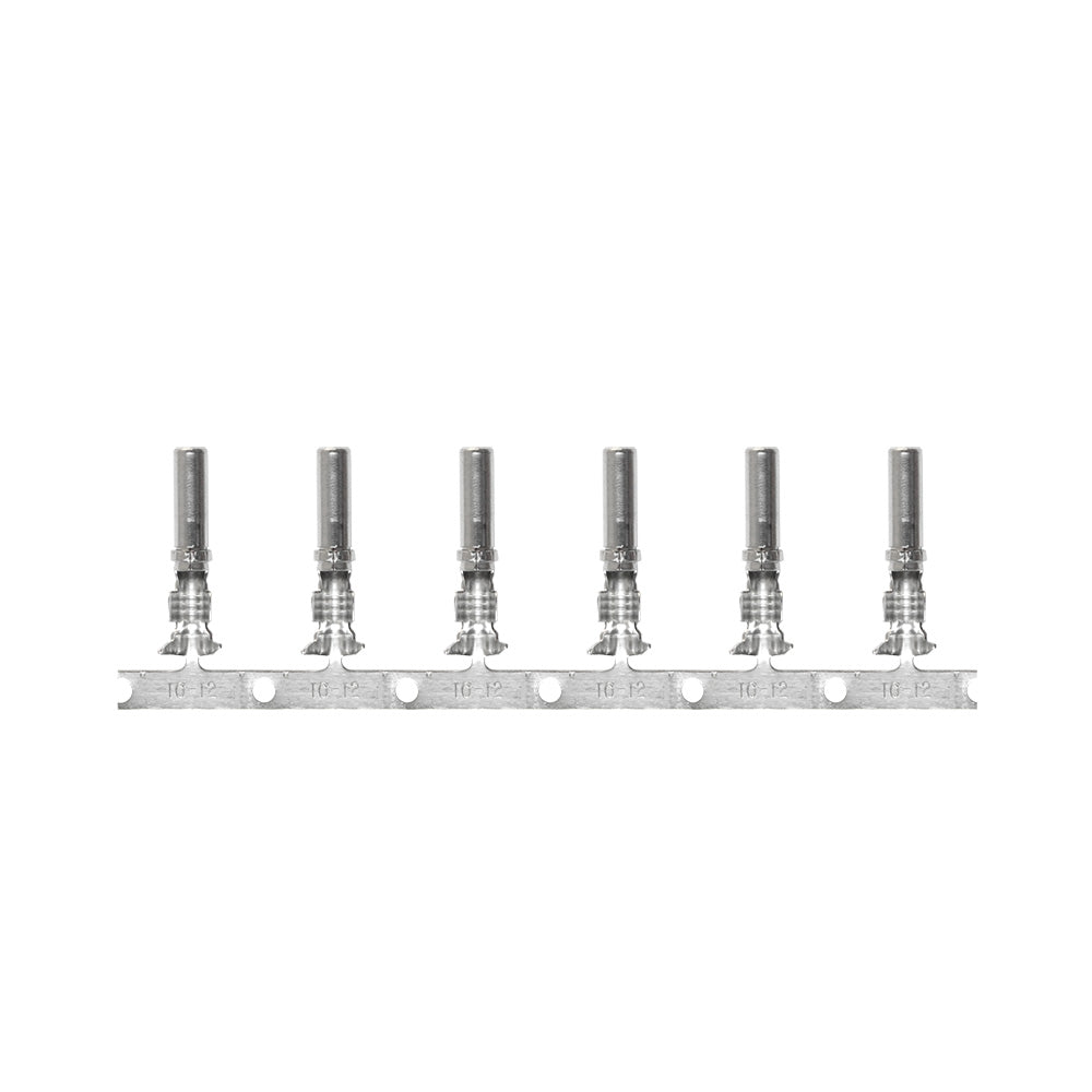 Pacer DTP Deutsch Socket f/10 AWG Wire - Size 12 Contact (10 Pack)