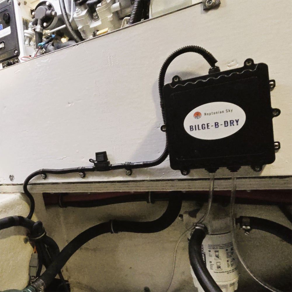 BILGE-B-DRY Quad Pump - 12VDC