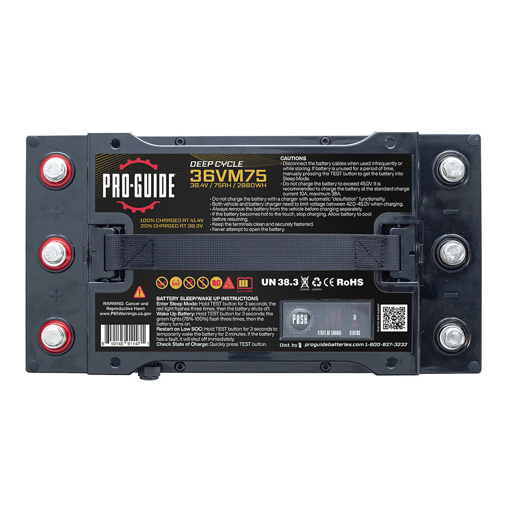 Pro-Guide Alpha Series Lithium Battery - 36V - 75AH - Group 31 (Tall)