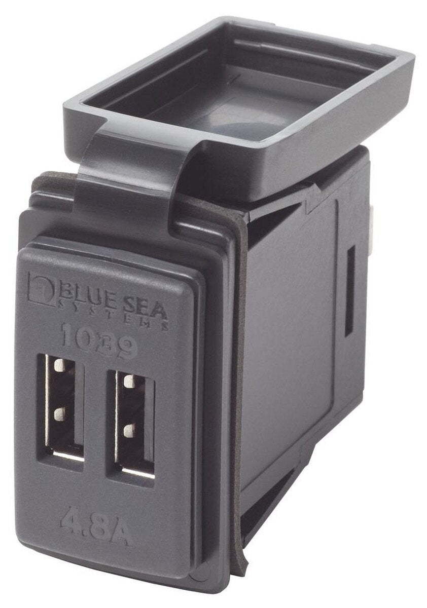 Switch Mount Dual USB