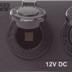 Circuit Accessory Panel - Socket + Dual USB