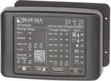 P12 Remote Panel