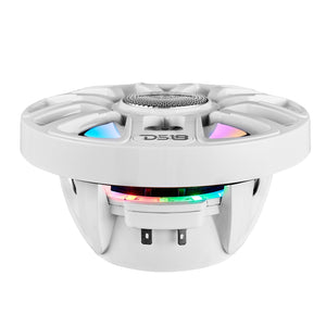 NXL-IQ6/WH