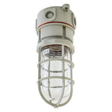Dock Light Fixture - Ceiling Mount