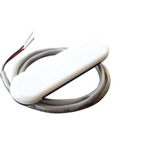 Courtesy Light - White
