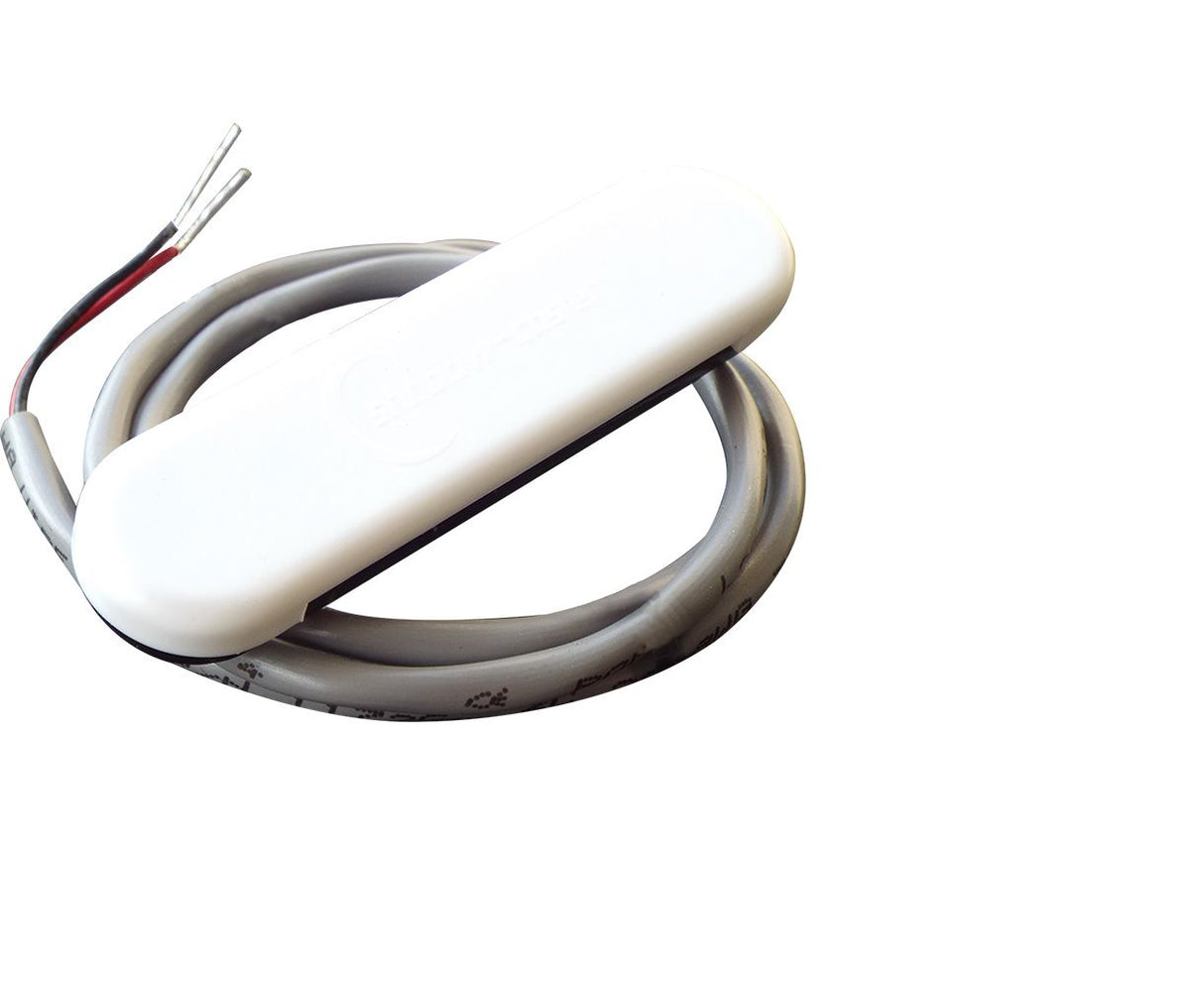 Courtesy Light - White (4)