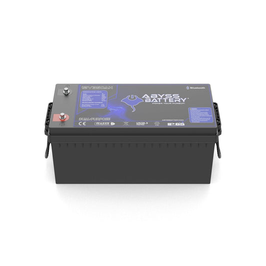 12v 350AH (Group 8D) Lithium Battery