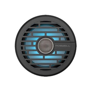 R1 6.5" Speaker