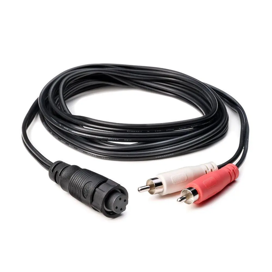 WM-4 Module Audio Cable