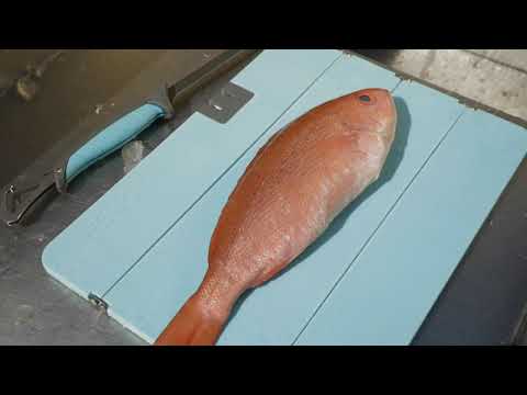 Toadfish XL Stowaway Folding Cutting Board w/Built-In Knife Sharpener - Teal