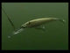 Rapala X-Rap® Magnum® 30 Firetiger
