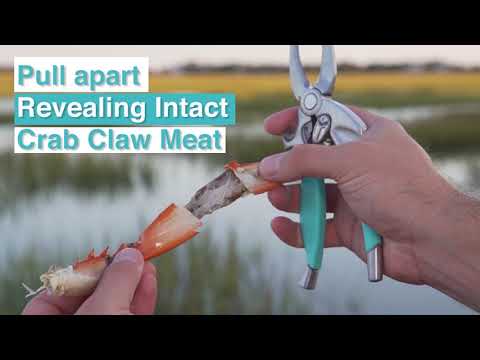 Toadfish Crab Claw Cutter