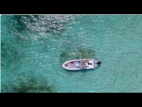 Fortress Guardian G-85 Anchor - 42LB