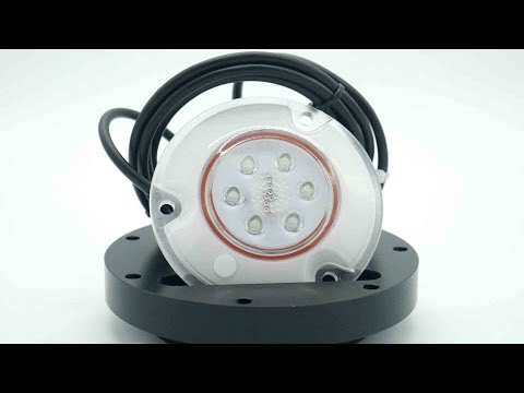 Lumishore ORA SMX11 Surface Mount Underwater Light - White