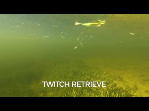 Rapala X-Rap® Twitchin’ Minnow 4" Electric Chicken