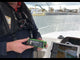 Digital Yacht Nomad 2 Portable AIS w/GV30
