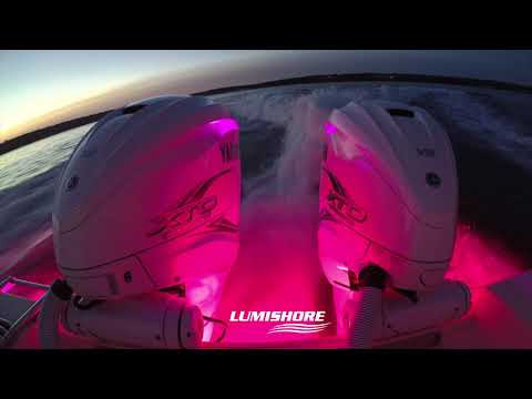 Lumishore ECLIPSE DL55 White Downlight - White Finish