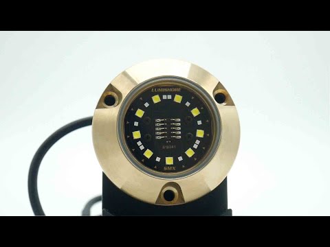 Lumishore ECLIPSE SMX24 Single Light Surface Mount Underwater Light - White