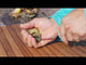 Toadfish Custom Engraved Put 'Em Back Oyster Knife - Teal (MINIMUM ORDER QUANTITY OF 25)